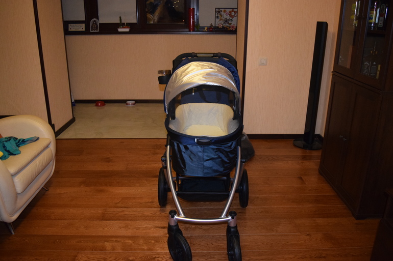 началась 36 неделя