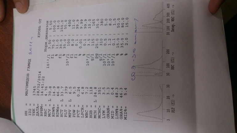 Расшифруйте наши анализы пожалуйста