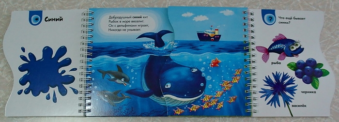 Наши новые книжки-картонки