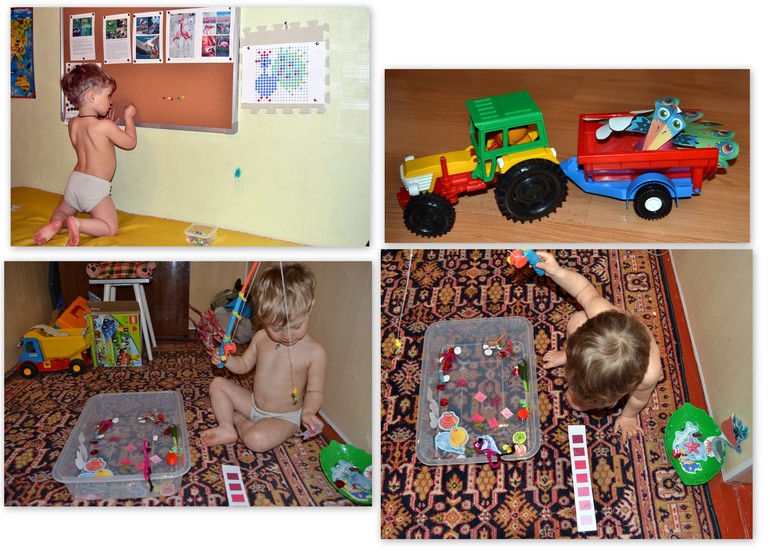 ТЗ "Ребятам о зверятах: экзотические птицы"