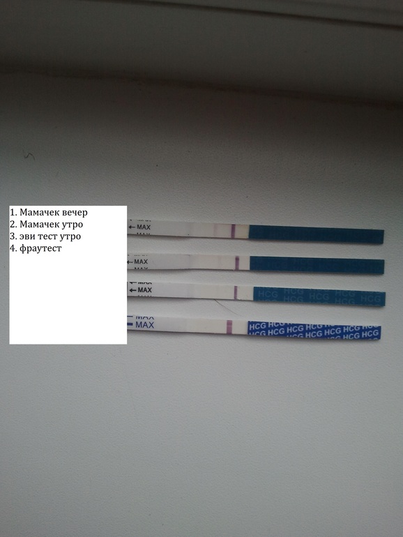 Посмотрите пожалуйста тесты.