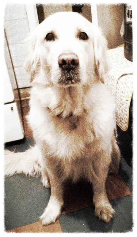 это победа!