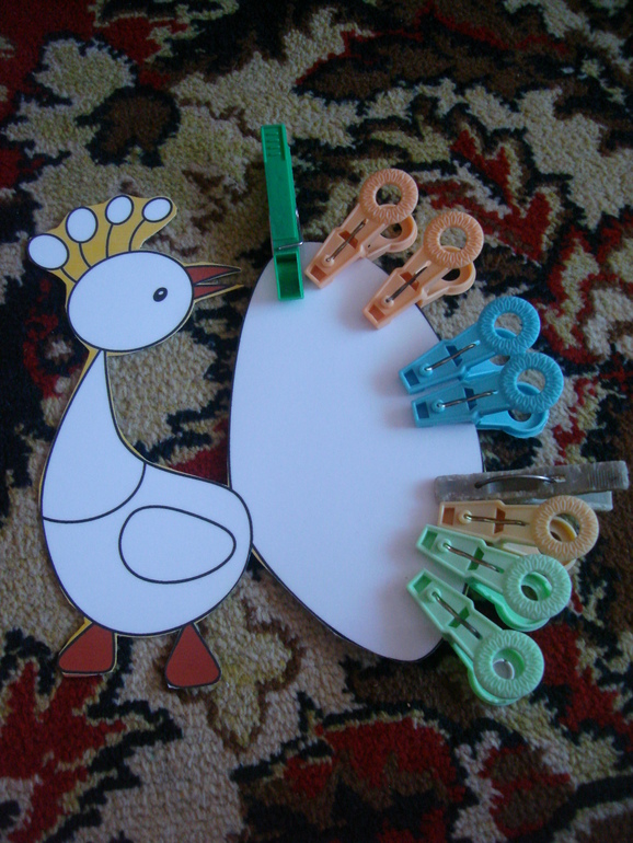 ТН Птицы Лесные и экзотические