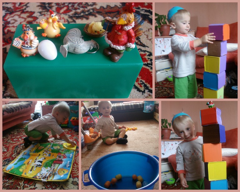 ТН Птицы Домашние птицы