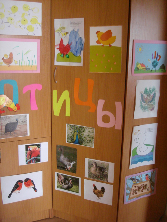 ТН Птицы Домашние птицы