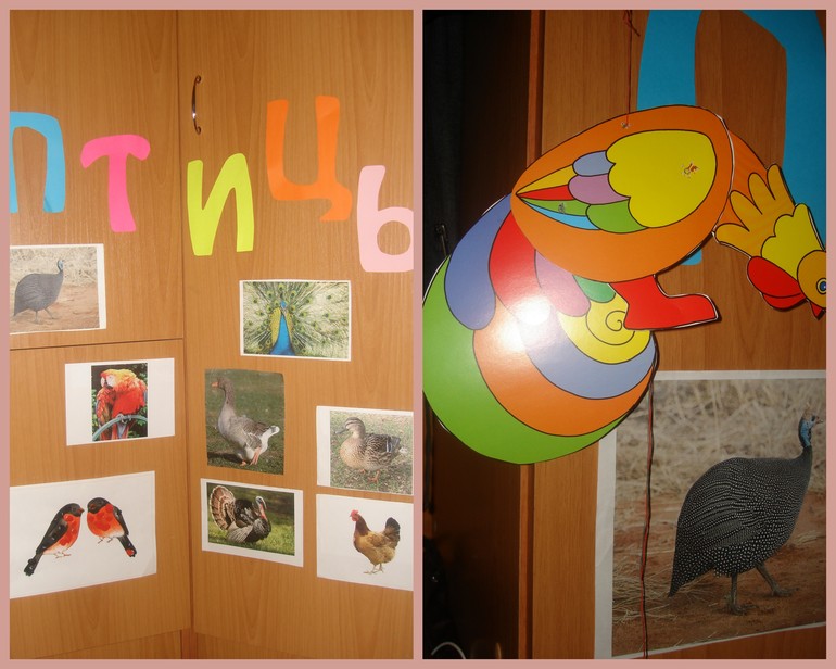 ТН Птицы Домашние птицы