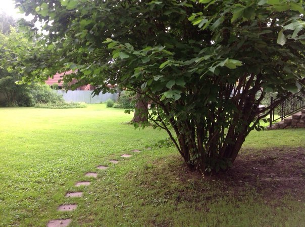 Продается шикарный дом! 450 кВ м. )