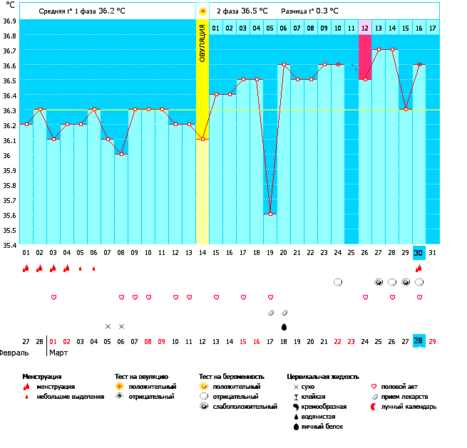 Девочки, мерию 3й месяц, БТ- очень низкая постоянно