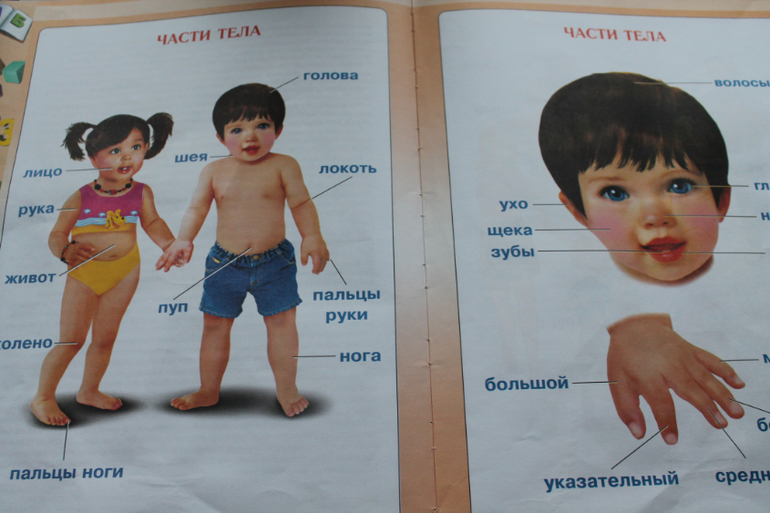 Первая книга малыша.