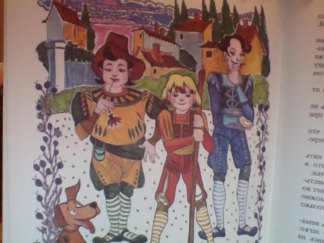 Мое пополнение