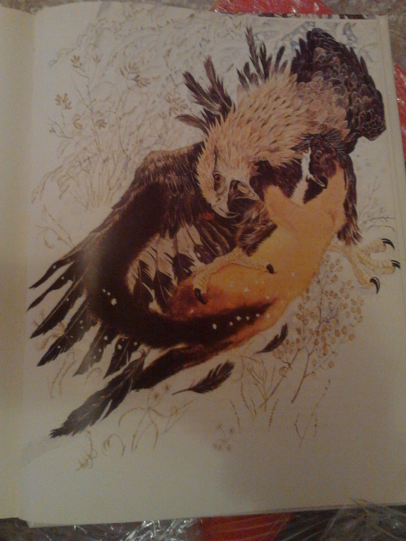 Очередная порция