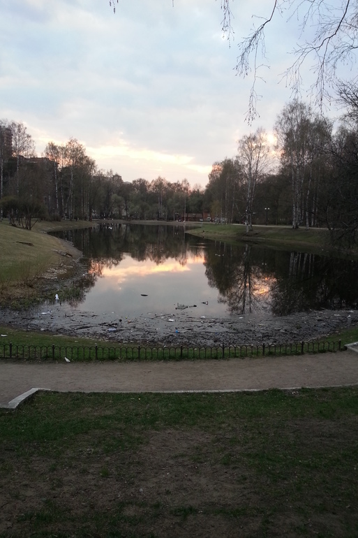 Запланированная покупка и О расстройстве