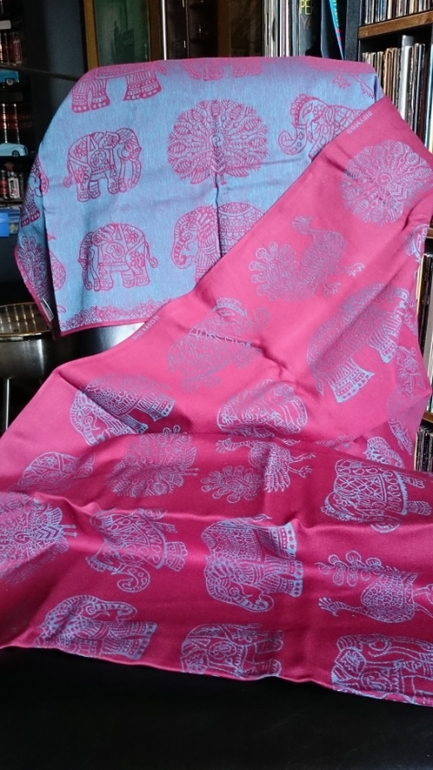 Дидимос Холи Индия