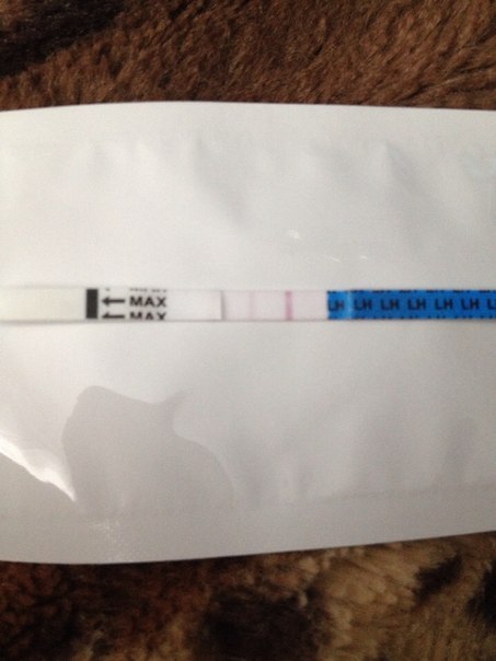 Мой тестик на О есть или нет???