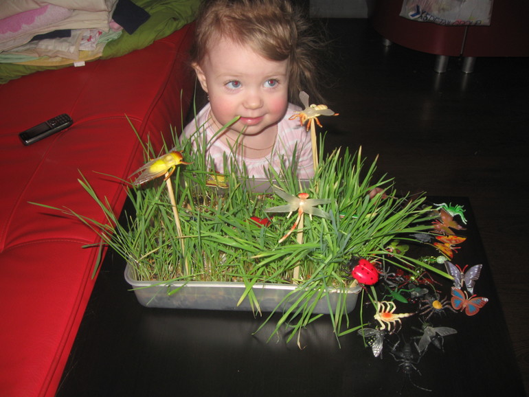 Вариант коробочки для ТН "Насекомые"