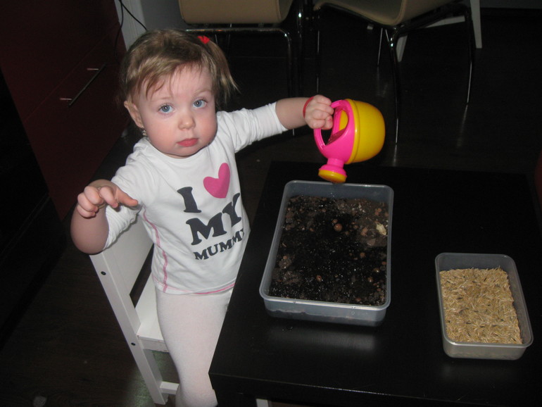 Вариант коробочки для ТН "Насекомые"