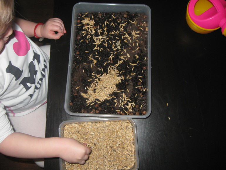 Вариант коробочки для ТН "Насекомые"