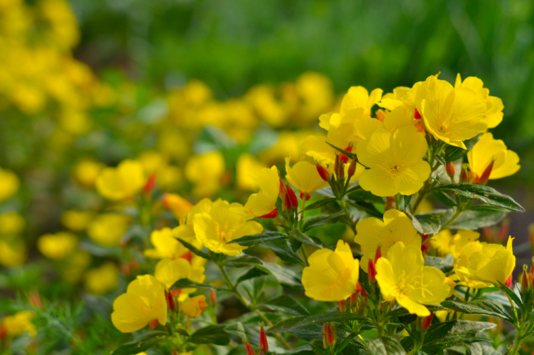 Контрольное задание № 16. Увеличение насыщенности