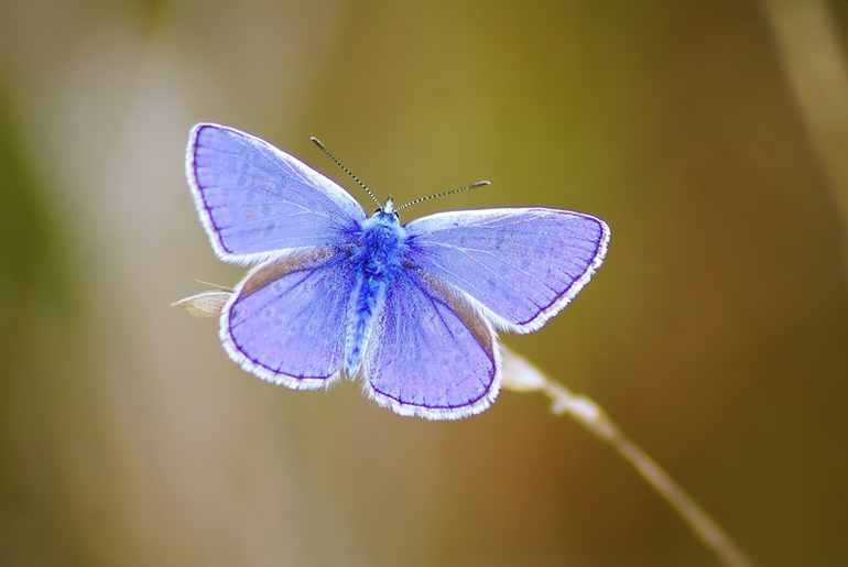 Контрольное задание № 10.