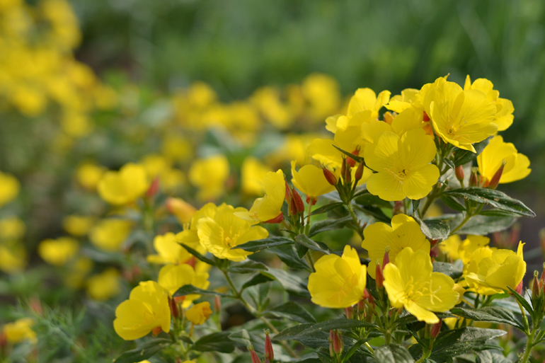 Контрольное задание № 16. Увеличение насыщенности