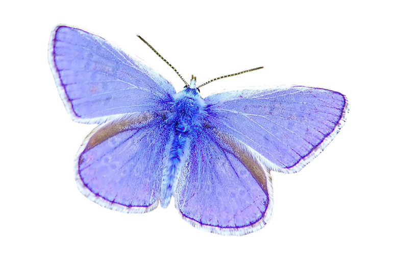 Контрольное задание № 10.