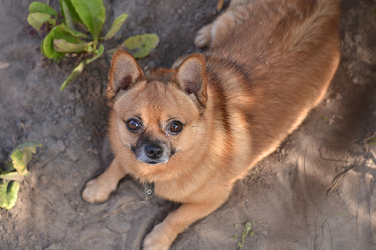 Контрольное задание № 19. Делаем черно-белое фото в Photoshop