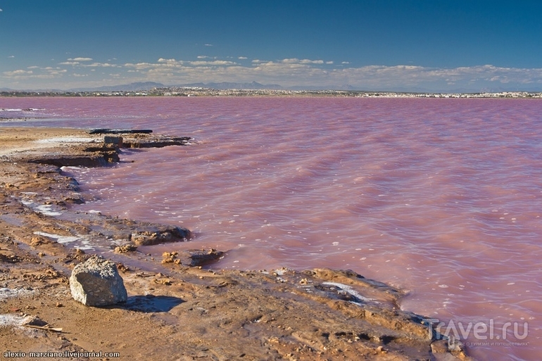 Приглашем в Торревьеху вылечить болезни органов дыхания