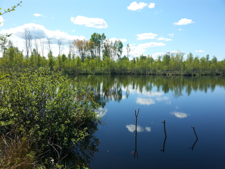 Завтра нам 24 недельки)))