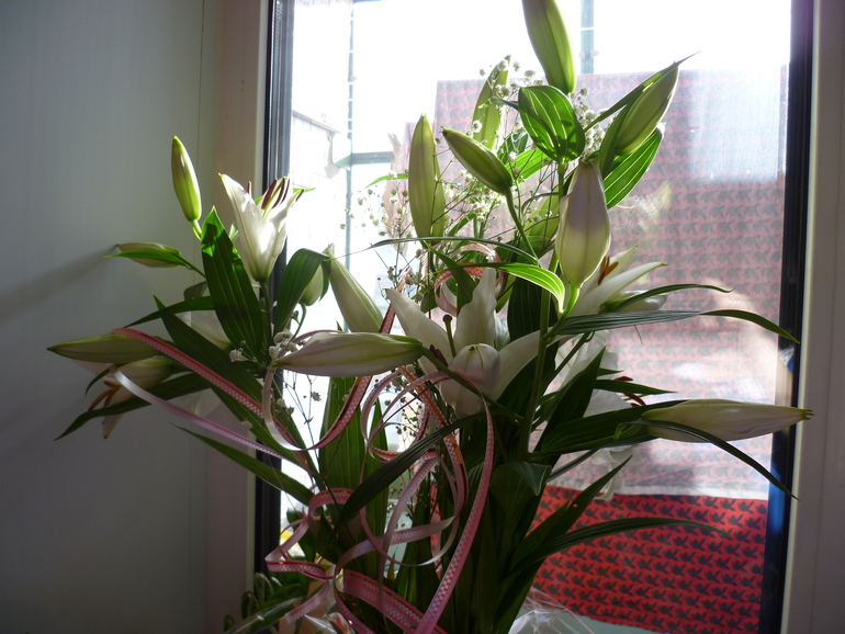 Мне 22 года, а нам уже 29 неделя. Обо всем по-немногу...