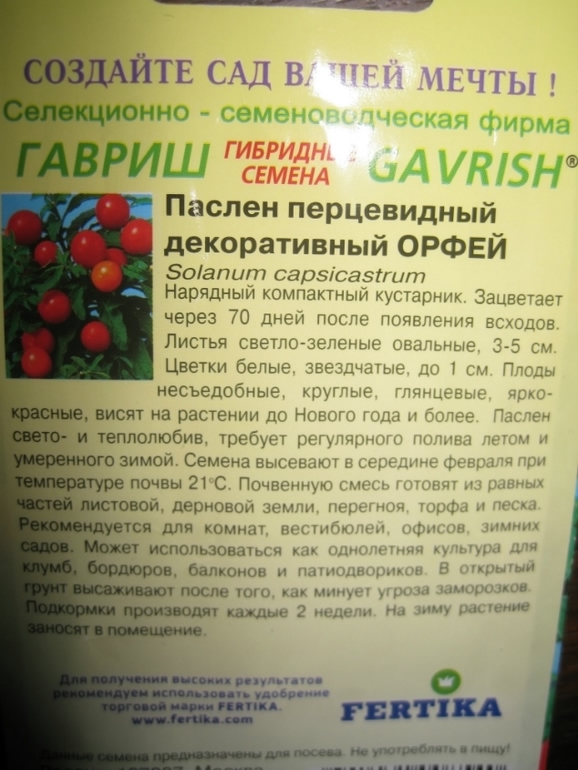 как сажать,где покупать,что посоветуете по посадке?
