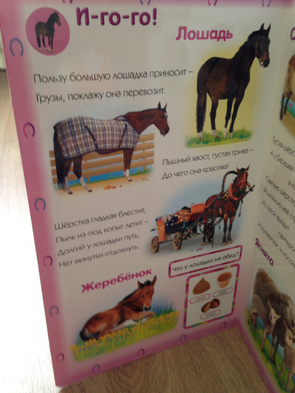 Лошадки
