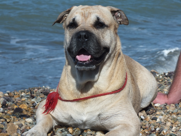 Здравствуйте!