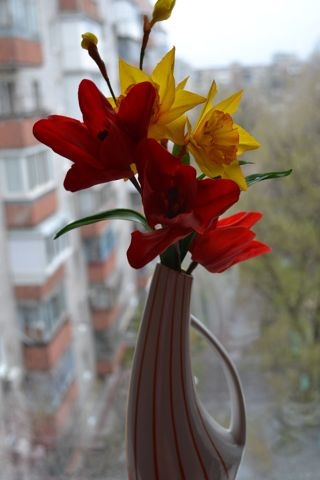 продолжение.....