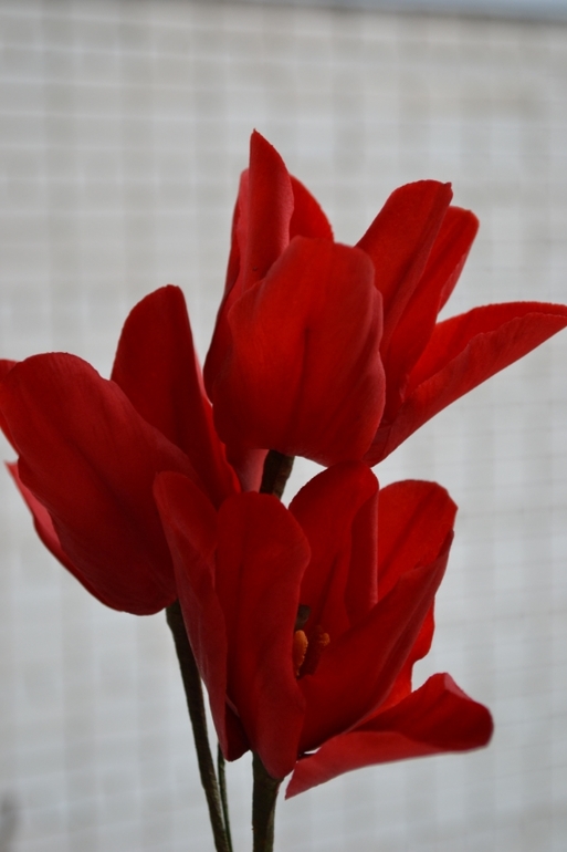 Красные тюльпаны.....работа девочек моих...