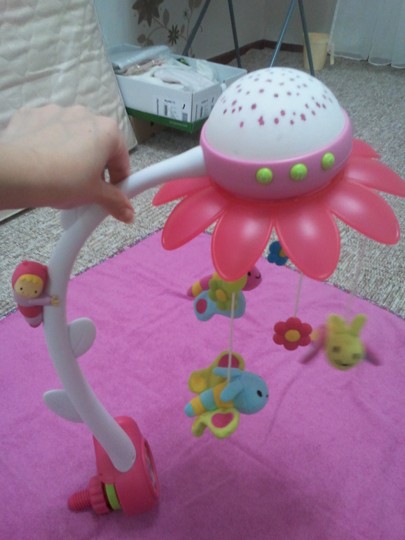 Вот и начались глобальные приготовления! + ФОТО