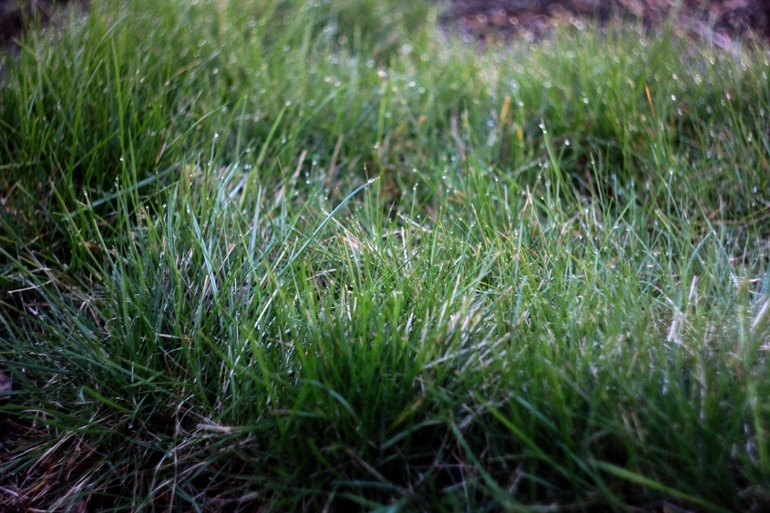 Очередные выходные на даче