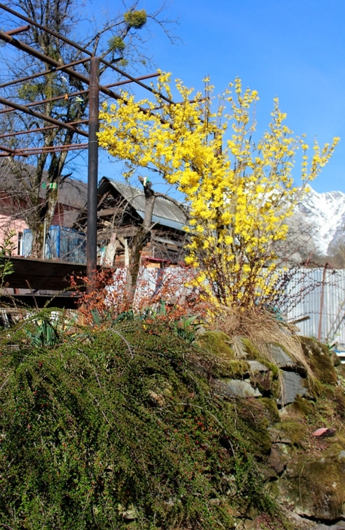 Очередные выходные на даче