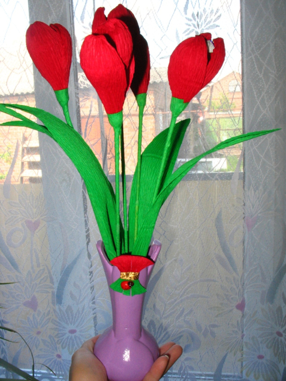 Мои первые свит-тюльпаны