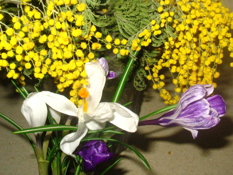 День 8. Женская тема