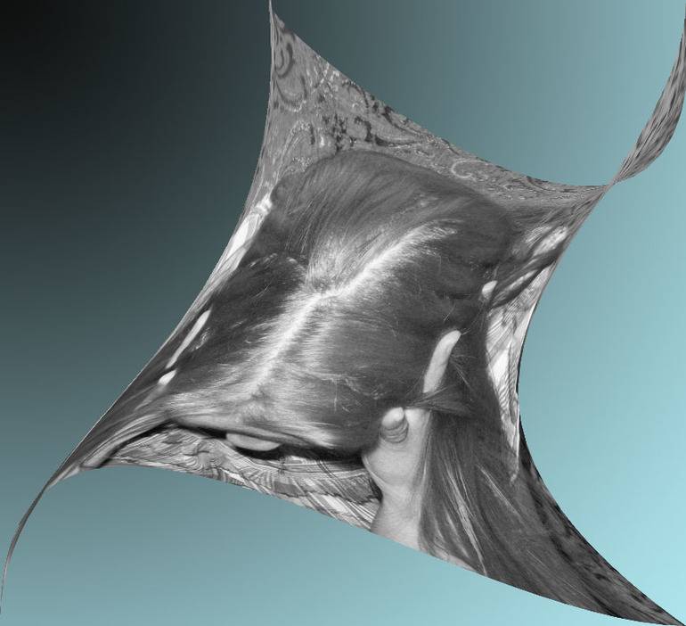 День 7. Хаос.