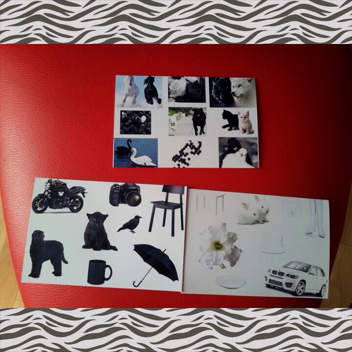 ТЗ" Какого цвета зебра?"