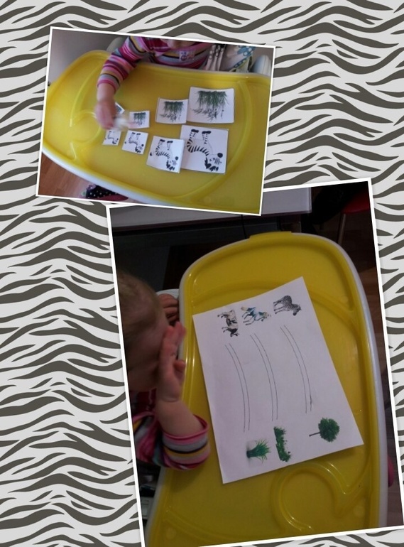 ТЗ" Какого цвета зебра?"