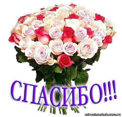 Хочу поблагодарить замечательную девушку Анастасию,за вещи моей доченьки!