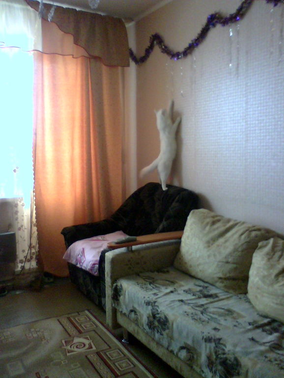 Мусяша Путяшишна)))))