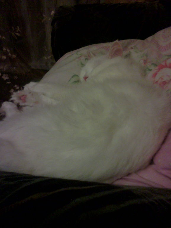 Мусяша Путяшишна)))))