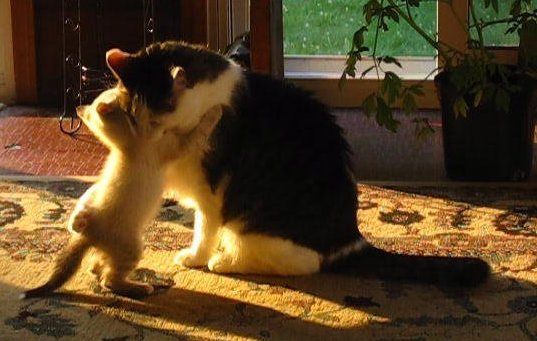 Необычное имя моего ребенка