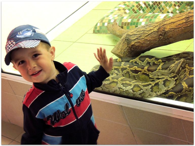 В Zoo :)