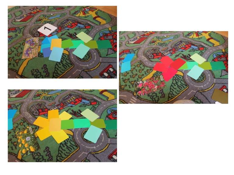 Какие разные цветы..