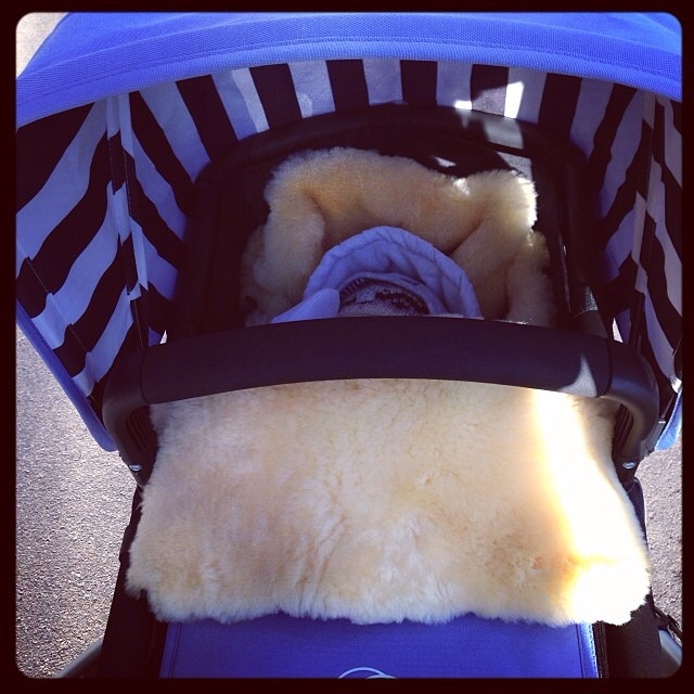 Моя Bugaboo Cameleon 3, плюсы и МИНУСЫ!