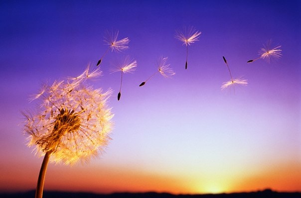 Вечер для себя